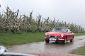 MG Bloesemrit op 24-4-2016 org. Jos&Marie-lou  (232)
